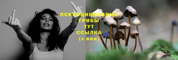 сатива Балабаново