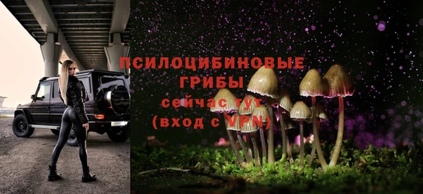 сатива Балабаново