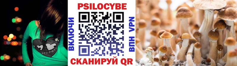 Галлюциногенные грибы GOLDEN TEACHER  как найти наркотики  Краснослободск 